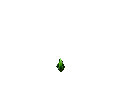 bloom_ro.gif (22038 bytes)