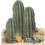cactus1.gif (30153 bytes)
